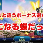オンラインカジノ 【Butterfly２】カジ旅