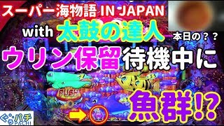 新台【スーパー海物語 IN JAPAN2 with 太鼓の達人】ぐぅパチ #146「初打ち‼賑やかお祭りモードで挑戦‼」