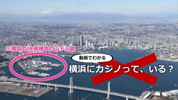 【動画でわかる】横浜にカジノって、いる？
