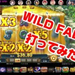 【WILD FALLS】Playngo ゴールドラッシュなるか！？オンラインカジノ