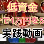 【オンラインカジノ】低資金1万円から5万円にする実録バカラ実践動画