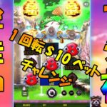 #77【オンラインカジノ　スロット】1回転1,000円BET‼金蛙神マジ神！