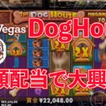 【オンラインカジノ/オンカジ】【レオベガス】The Dog House MEGAWAYS高額配当！！