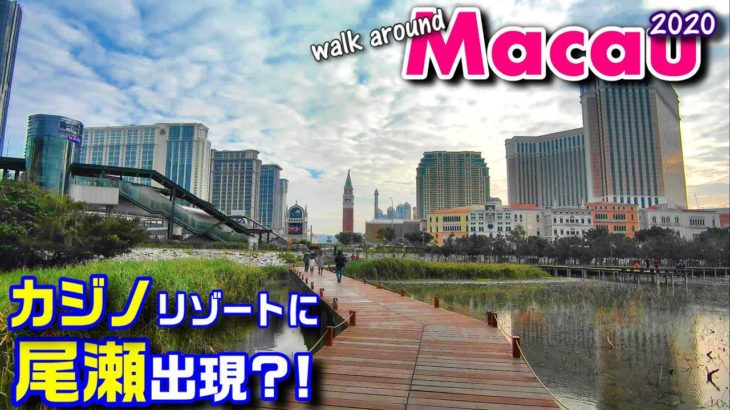 マカオ時短移動シリーズ第3弾！カジノホテルの並ぶコタイストリップとタイパを結ぶ徒歩コースをご紹介!～Walk around Macau 2020 マカオ散策㊱