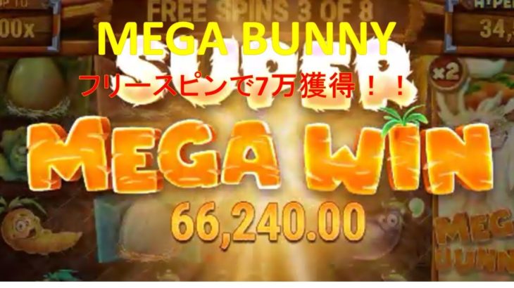 青プーGames【オンラインカジノ】Mega bunnyで大当たり！