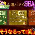 オンラインカジノ生活SEASON3【Day51】