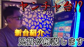 【ポーキーファンへ】海外カジノの高ベット台で遊んでみました❗️１回転２００〜４００円で挑戦したワイルドスタリオン❗️