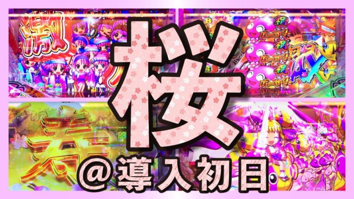 【沖海桜319】高継続の桜は最高！海物語実戦！【新台パチンコ】