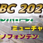 【船橋競馬】JBC 2021 追い切り調教　アランバローズ・カジノフォンテン・ミューチャリー【ドローン】