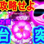 『Pスーパー海物語 沖縄5 桜』桜を攻略せよ