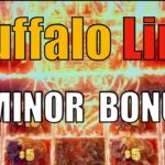 Slot Buffalo Link Minor Bonus/ ラスベガス・カジノスロット バッファローリンク