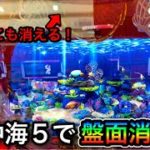 【346日目】Pスーパー海物語in沖縄5で魚群が流れまくり実践！（ガチ実践動画2022/1/22）