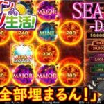 オンラインカジノ生活SEASON3-Day226-