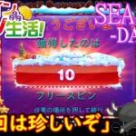 オンラインカジノ生活SEASON3-Day229-【コンクエスタドール】