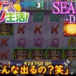 オンラインカジノ生活SEASON3-Day231-