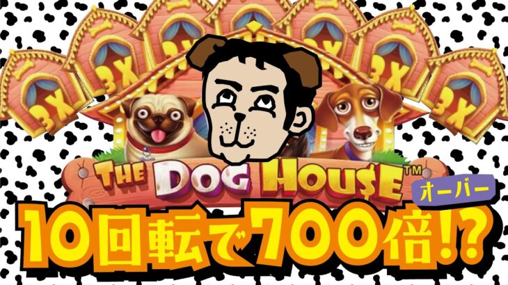 【オンラインカジノ】たった10回転での奇跡！【ボンズカジノ検証ドッグハウス 編】The Dog House