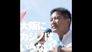 大阪にカジノはいらない　たつみコータロー参院大阪選挙区候補