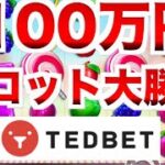 【オンラインカジノ】100万円スロット大勝負〜テッドベット〜