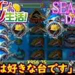 オンラインカジノ生活SEASON3-dAY341-【コンクエスタドール】