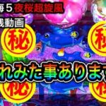 【444日目】Pスーパー海物語in沖縄5夜桜超旋風！プレミア桜が咲いてくれた！