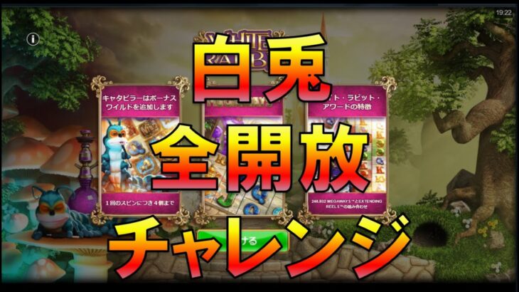 【Live】白兎　全開放　チャレンジ　ワンダーカジノ　オンラインカジノ実況配信