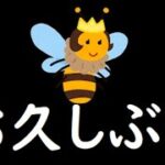 【プレイオジョ】お久しぶりの蜂シリーズ、プレイオジョ編①【オンラインカジノ】