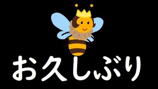 【プレイオジョ】お久しぶりの蜂シリーズ、プレイオジョ編①【オンラインカジノ】