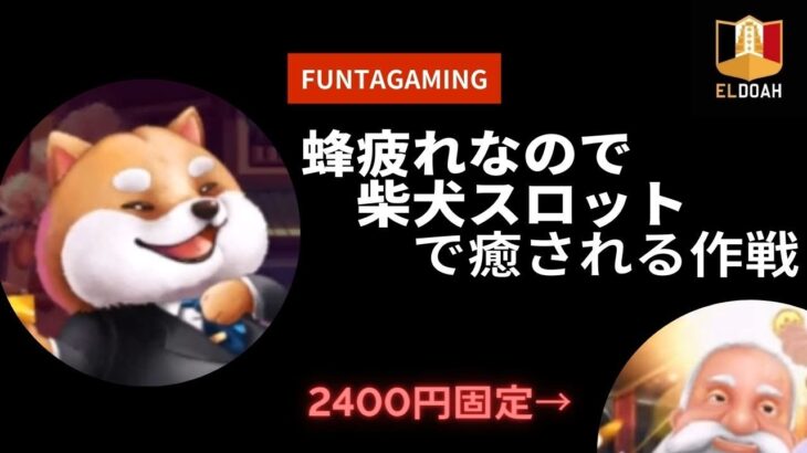 【エルドアカジノ】Funtaには癒しの柴犬がいるというお話【オンラインカジノ】
